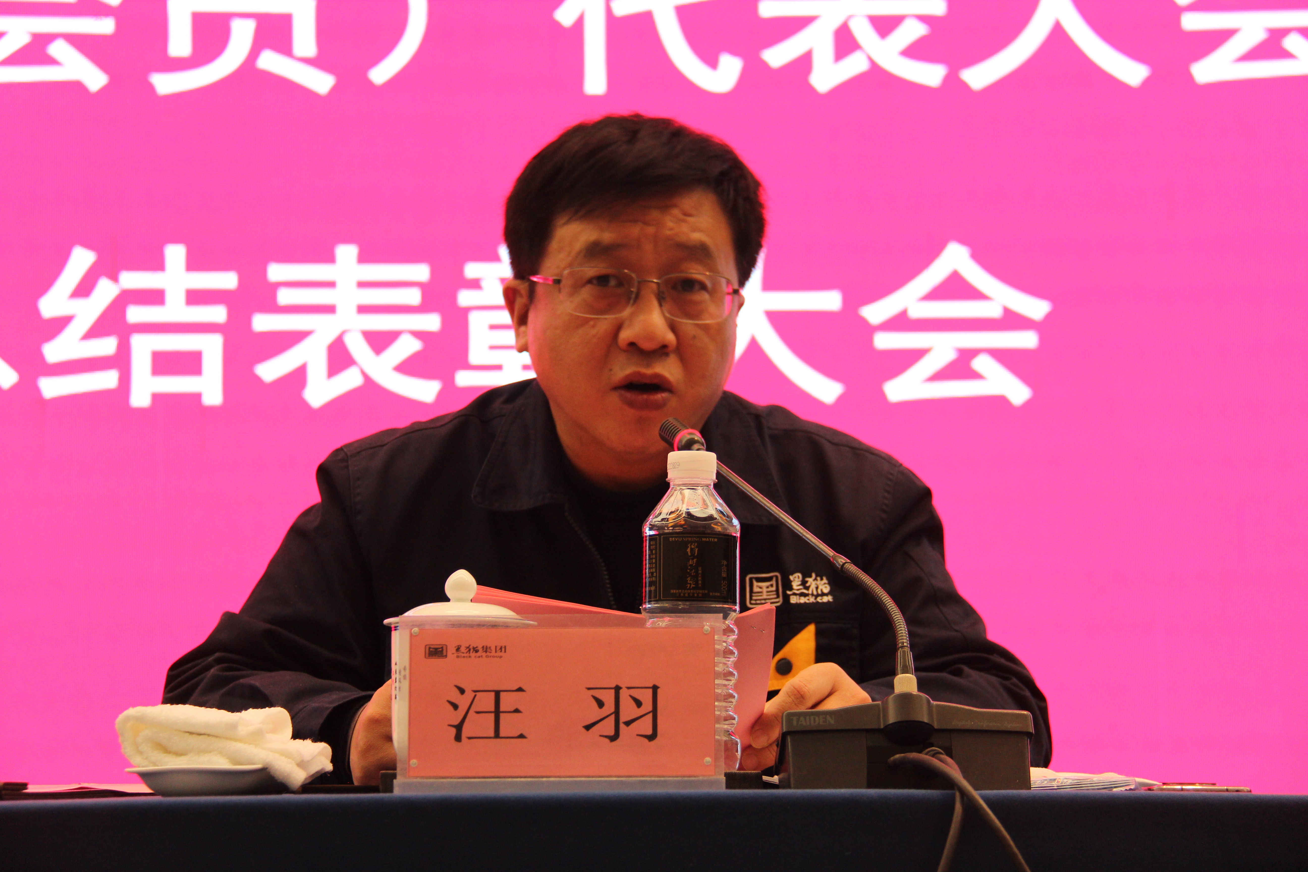 黑貓集團(tuán)黨委副書記、總經(jīng)理汪羽發(fā)言 (2).JPG